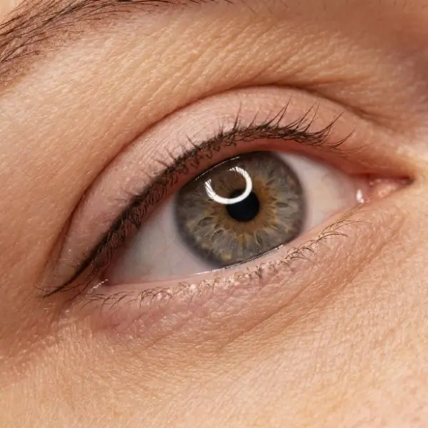 Feiner permanenter Lidstrich – hauchzarte Linie entlang des Wimpernkranzes