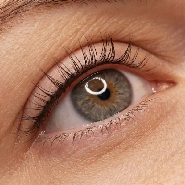 Wimpernkranzverdichtung – dezente Verdichtung zwischen den Wimpern ohne sichtbare Linie